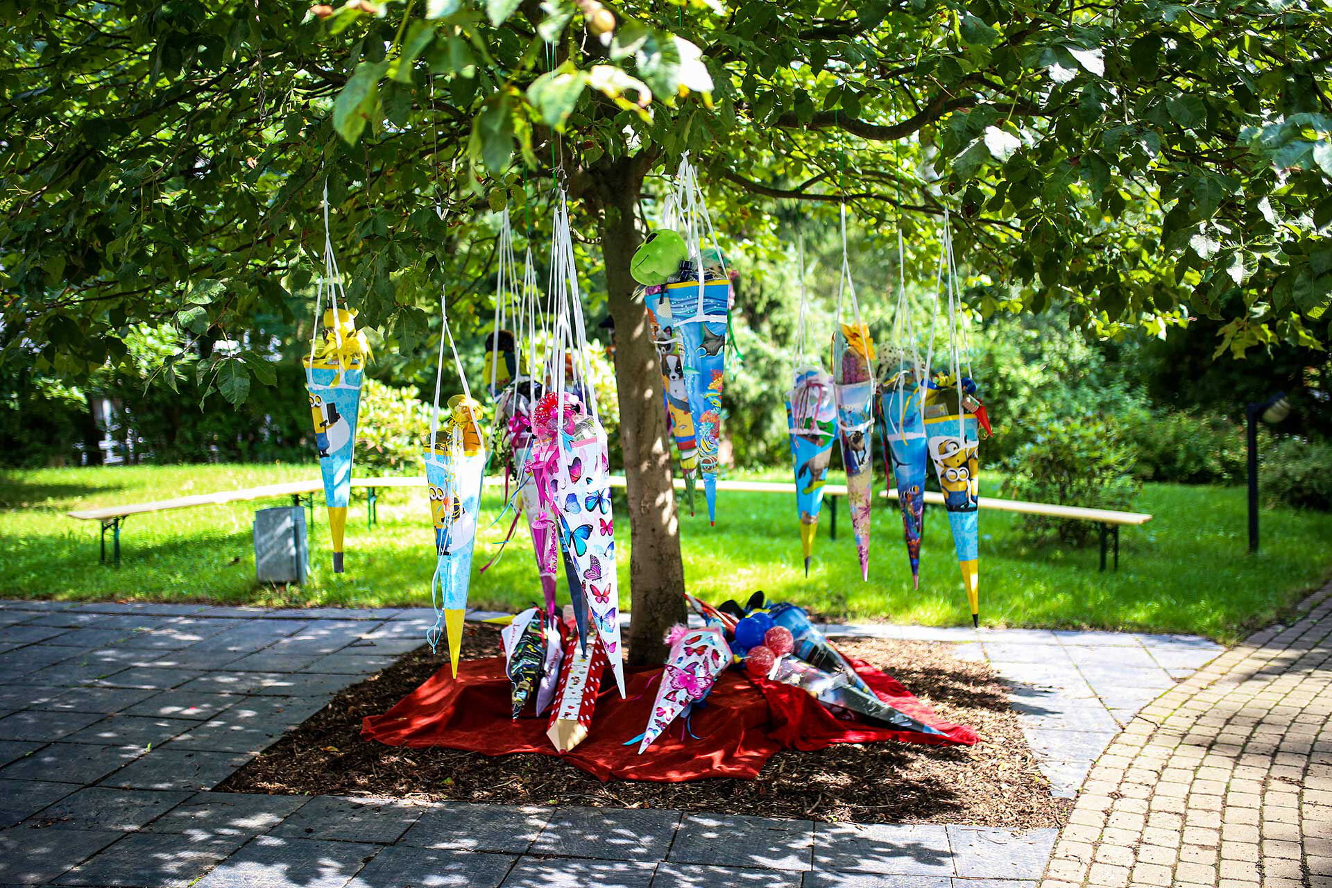 An einem Baum im Außengelände hängen Zuckertüten für die Schulanfänger.