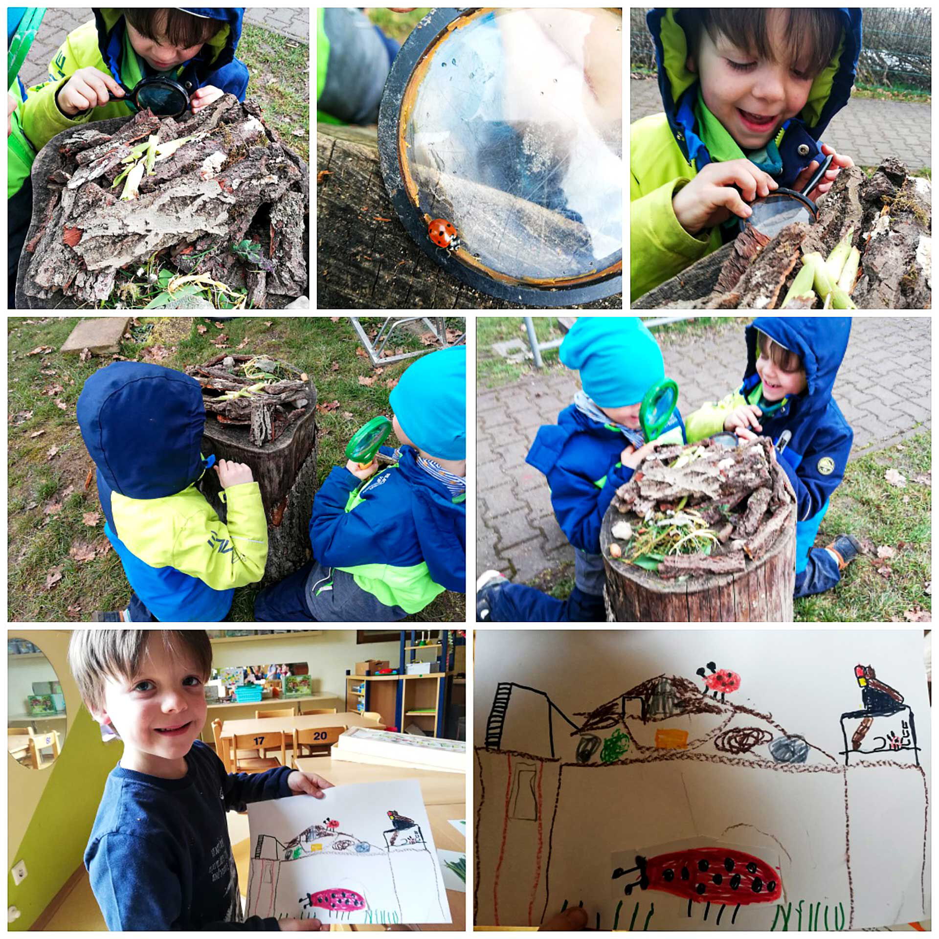 Sieben kleine Fotos sind bei der Projektarbeit entstanden. Ein Junge begutachtet die Schnecken, beobachtet sie mit einer Lupe, malt ein Bild einer Schnecke und begleitet diese auf ihrem Weg im Außengelände.