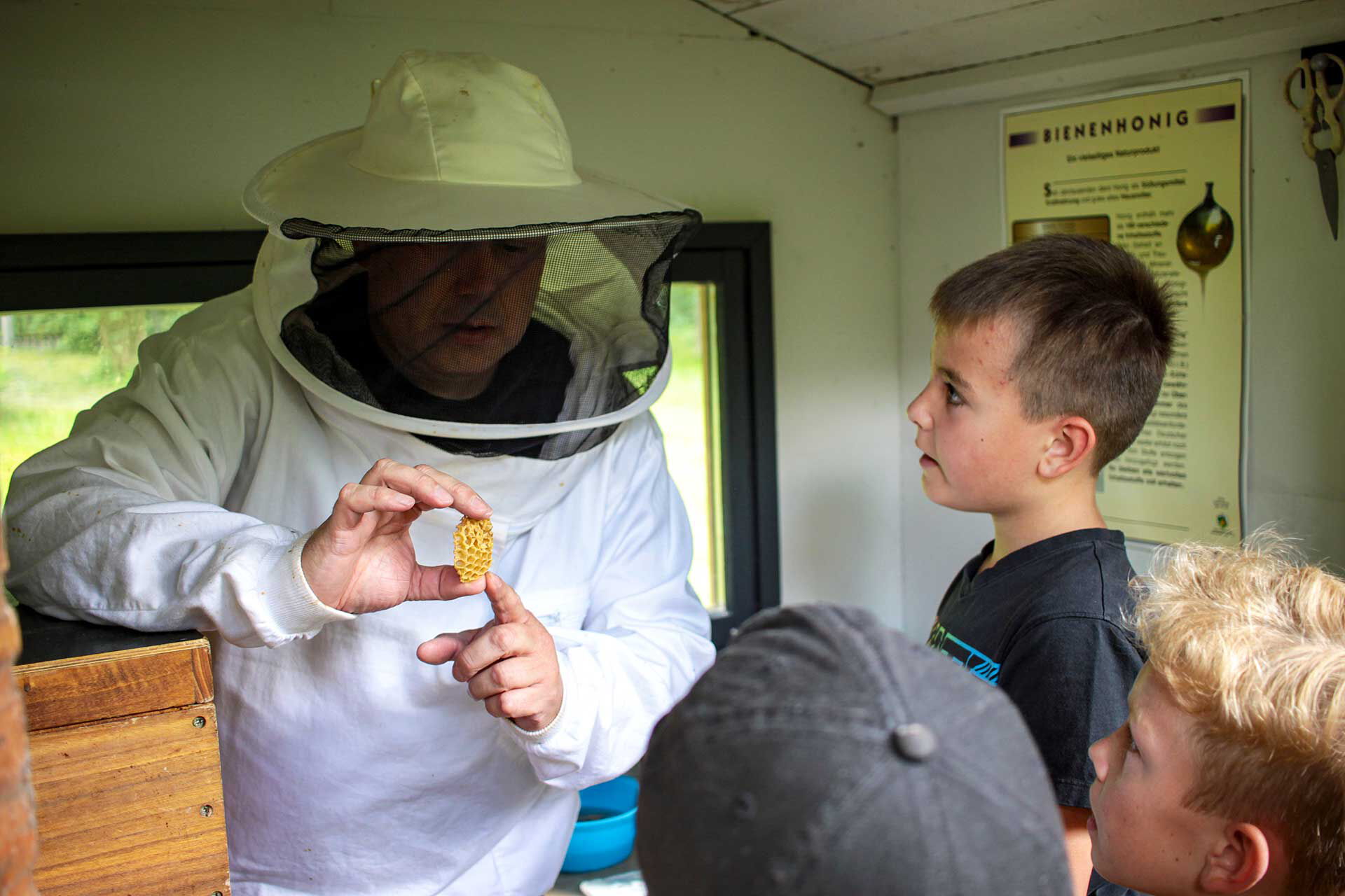 Ein Imker mit Schutzanzug zeigt drei Kindern eine Bienenwabe.
