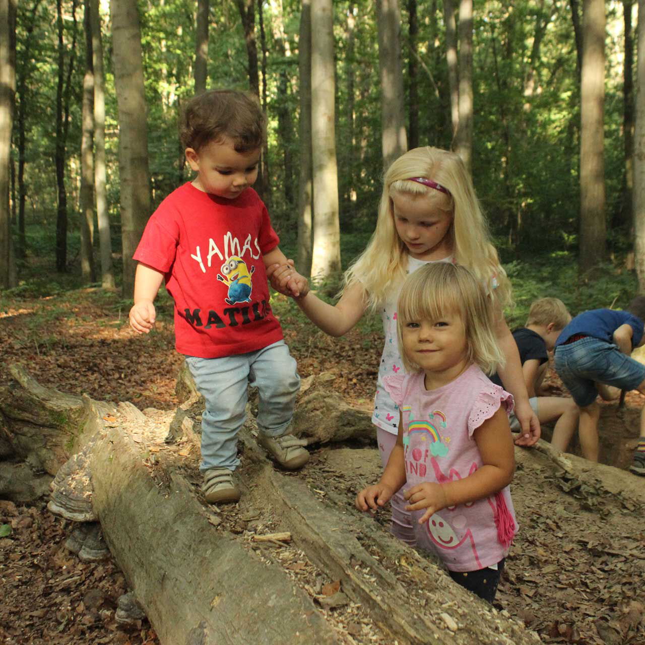Eine Kindergruppe macht einen Ausflug in den Wald. Sie klettern über Baumstämme und graben im Waldboden.