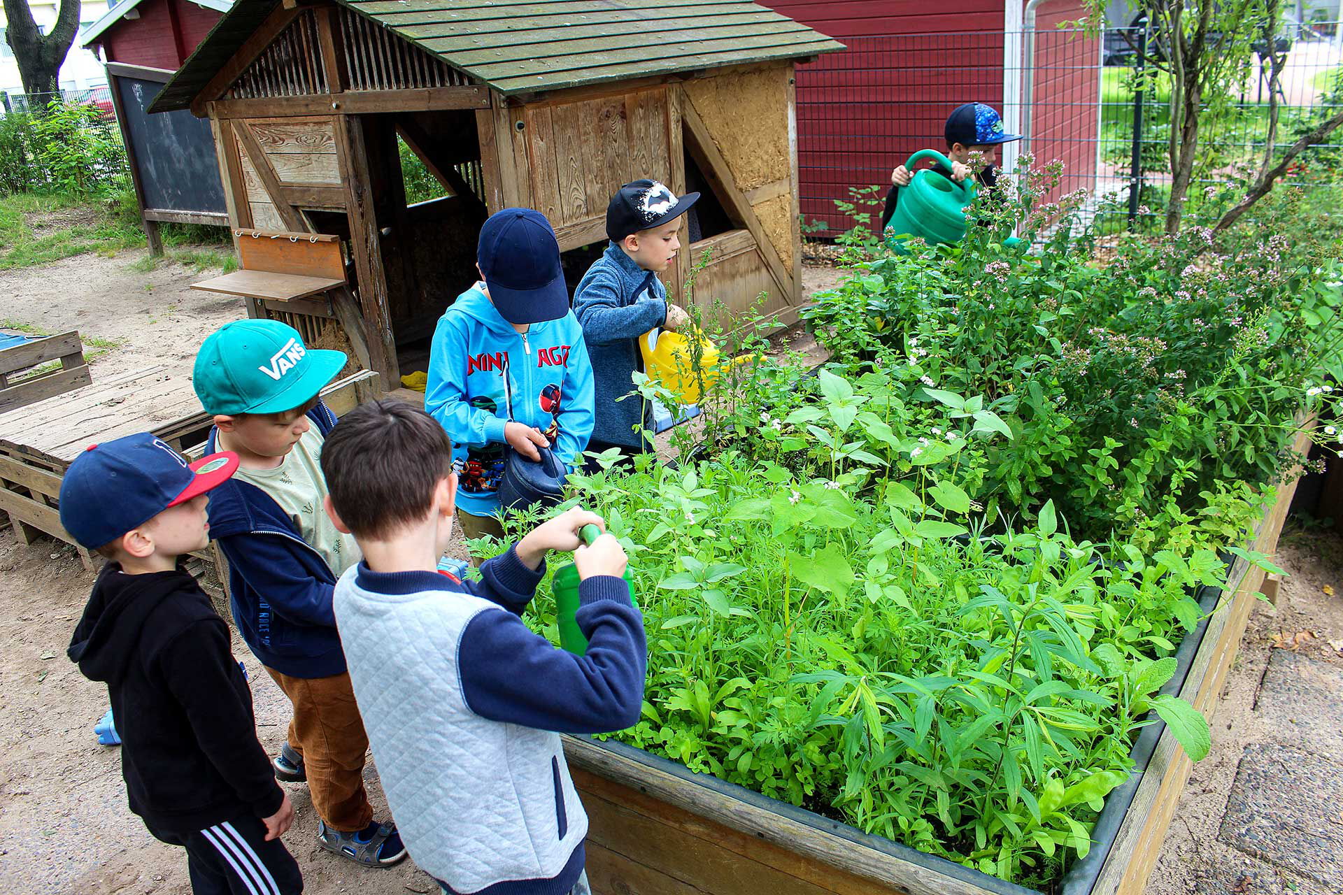 Der Kräutergarten im Vordergrund  wird von sechs Kindern bestaunt, gepflegt und gegossen. Im Hintergrund steht ein Holzhaus zum Spielen.