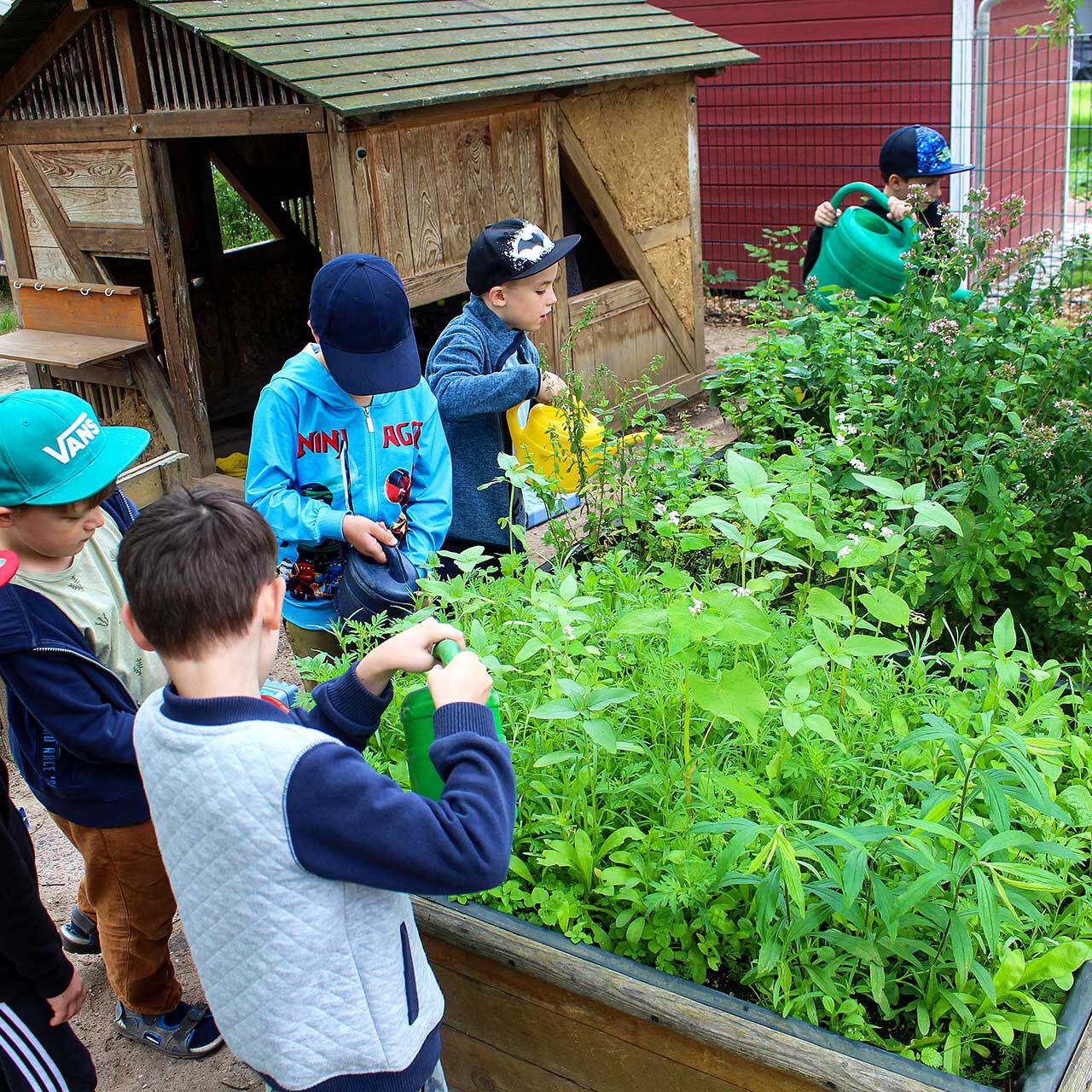 Der Kräutergarten im Vordergrund  wird von sechs Kindern bestaunt, gepflegt und gegossen. Im Hintergrund steht ein Holzhaus zum Spielen.