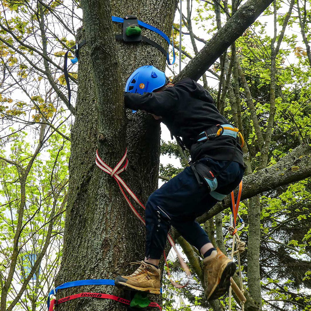 Ein Jugendlicher klettert mit Helm und Kletterausrüstung auf einen Baum.