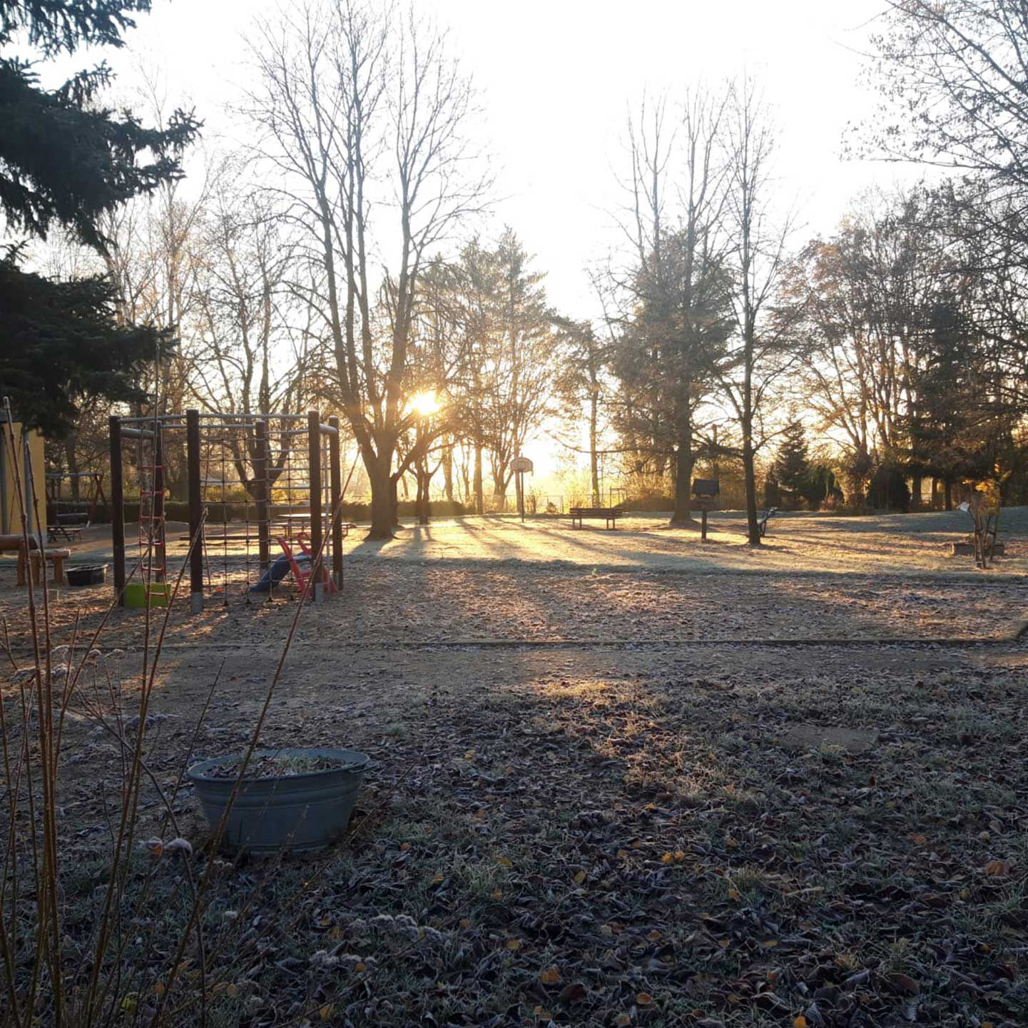 Ein Sonnenaufgang im Außengelände der Kita. Im Vordergrund steht das Klettergerüst und im Hintergrund schaut die Sonne durch die Bäume.